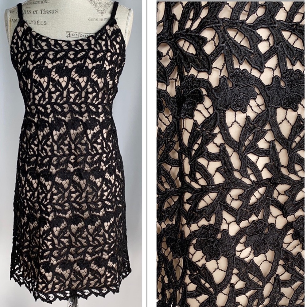 Alice + Olivia Black Embroidered Lace Nude Dress L